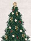Evergreen Christmas II Art Print
