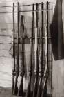 Vintage Rifles Art Print