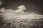 Banks of the Yellowstone River Art Print