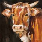 Brown Cow on Black Art Print