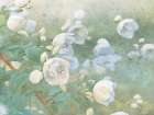 Apple Blossoms Art Print