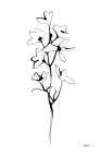 Ink Botanical Art Print
