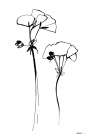 Ink Flowers Art Print