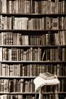 The Library Art Print