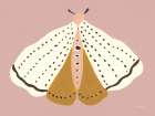 Cinnamon Moth Blush Art Print
