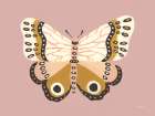 Cinnamon Butterfly Blush Art Print