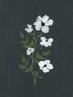 Pretty Little Flower III Black Art Print