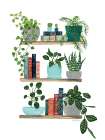My Boho Plants I Books Kitchen Print