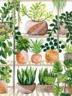 Plants of Shelf Art Print