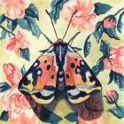 Spring Moth Art Print