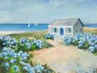 Nantucket Coast Art Print