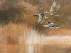 Life on the Lake Art Print