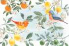 Citrus Wings I Art Print
