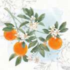 Citrus Wings II Art Print