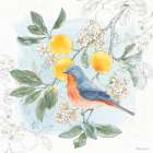 Citrus Wings III Art Print