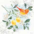 Citrus Wings IV Art Print