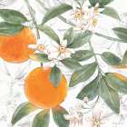 Citrus Wings VII Art Print