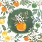 Citrus Wings VIII Art Print