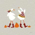 Ducks in the Pumpkin Patch VII Art Print