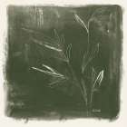 Leaf Lines II Art Print