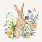 Spring Celebration II Art Print