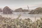 Lost Coast Discovery Art Print