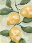 Lemons on a Branch Art Print
