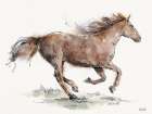 Gallop Art Print