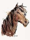 Horse Portrait Art Print