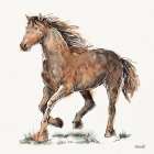 Trot Art Print