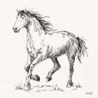 Trot Sketch Art Print