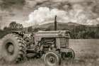 Old Puller Sepia Art Print