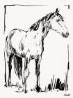 Stance Sketch Art Print