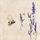 Lavender Bliss IV Art Print