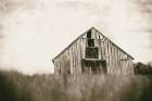 Rainy Barn Days Art Print