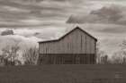 Spring Storms Sepia Art Print