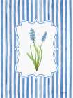 Spring Cartouche II Art Print