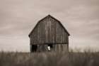 Middle America Sepia Art Print
