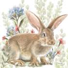 Hop Into Spring IV Art Print