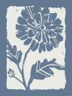 Flower Fest XI Art Print