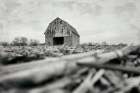 Weathered Art Print