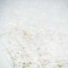 Wild Grass Impressions Art Print