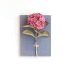 Pink Hydrangea on Book Art Print