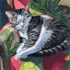 Cat Nap in Sunshine Art Print