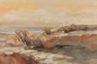 Golden Dunes Art Print