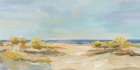 Sunshine Dunes Art Print
