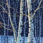 Snowy Birch Grove at Night Art Print