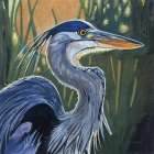 Blue Heron Backlit in Morning Art Print