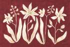 Cinnamon Flowers Art Print