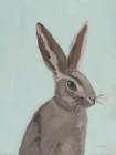Spring Bunny Art Print